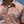 Camisa Mallorca Manga Corta Naranja