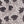 Camisa Bahamas Manga Corta Plomo