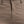 Pantalón Chino Premium Topo